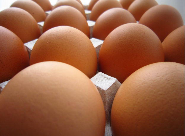 厳選した卵
